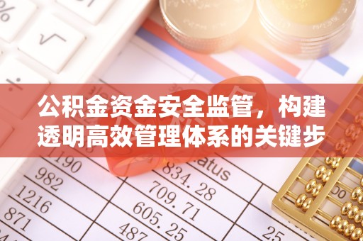 三都公积金资金安全监管，构建透明高效管理体系的关键步骤
